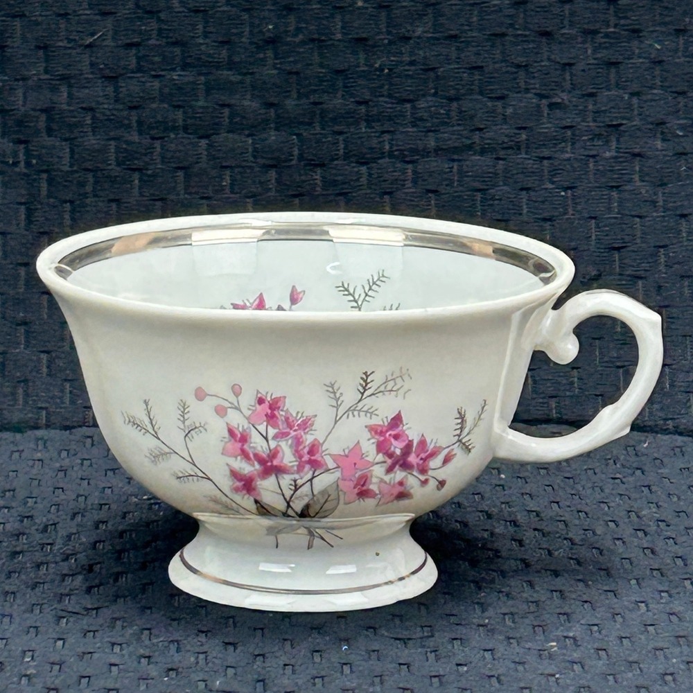 Karolina Poland China Teacup Pink Floral Silver Trim Vintage Porcelain 3879 12‎